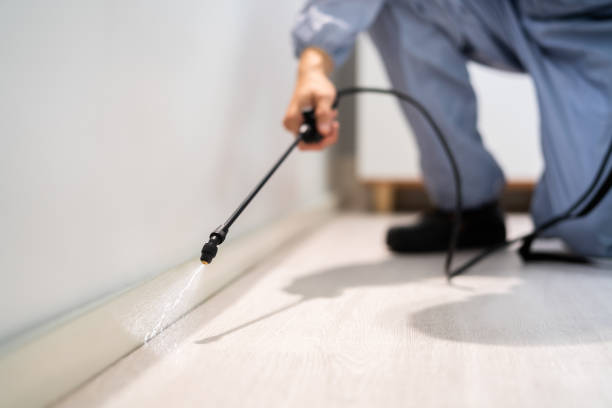 Professional exterminator conducting IPM assessment in Dinuba