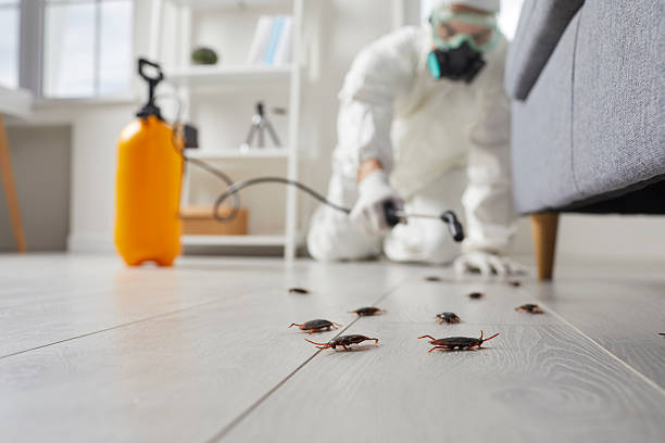 Commercial Kitchen Cockroach Control in Dinuba